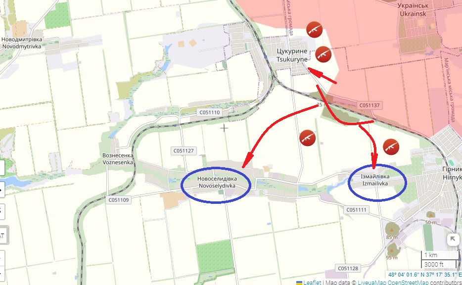 Cuộc tấn công vào vùng ngoại ô làng Novoselydivka, chắc chắn là một phần trong kế hoạch triển khai chiến lược của Quân đội Nga, nhằm mục đích mở rộng hơn nữa kết quả và đặt nền móng cho các trận đánh tiếp theo. 