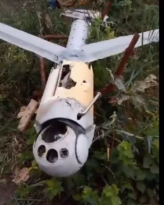 Theo Eurasiatimes, UAV Switchblade-600 bị nứt và hư hỏng nặng, nhưng hình dáng vẫn còn nguyên vẹn; có một số tấm ốp thân bị mất. Tuy nhiên về tổng thể, chiếc UAV Switchblade-600 có thể chưa bị hỏng hóc các linh kiện điện tử bên trong. 