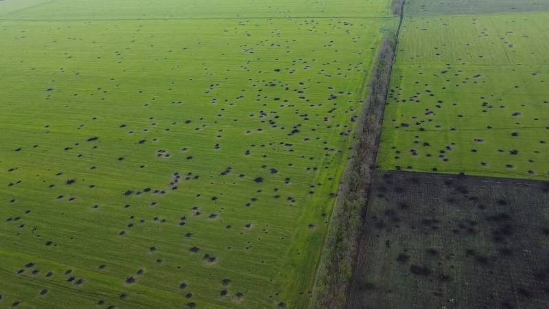 Trên thực tế, số đạn pháo của Nga chủ yếu là do ngành công nghiệp quân sự hùng mạnh do Liên Xô để lại; theo một số nguồn tin, lượng đạn dược mà Liên Xô để lại ít nhất là 6 triệu tấn, mặc dù một số đã bị phá hủy trước đó.