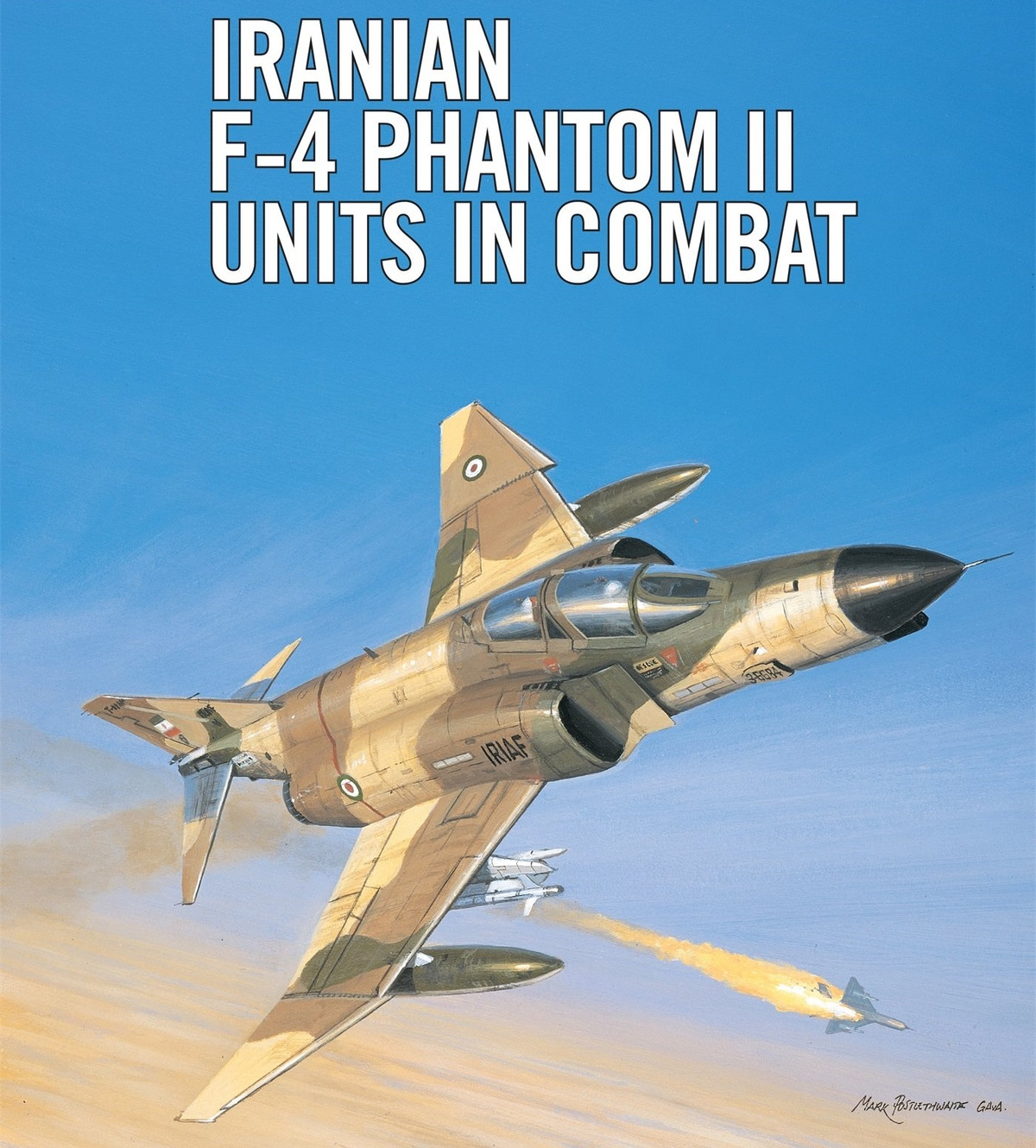F-4 cũng có lợi thế về tốc độ và độ cao đáng kể so với bất kỳ máy bay chiến đấu trên tàu sân bay nào của phương Tây hiện đang phục vụ, điều này có thể cho phép chúng cơ động tránh sự truy đuổi của các loại tiêm kích hạm và phóng tên lửa từ cự ly xa.