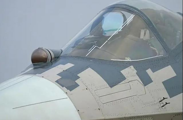 Theo những bức ảnh độ phân giải cao hiện được công bố, có thể thấy hai chiếc máy bay chiến đấu này chưa được xử lý lớp phủ tàng hình và quá trình sản xuất ở các chi tiết cũng có vẻ hơi thô. Đặc biệt là những đinh tán không được mài phẳng như công nghệ máy bay chiến đấu của phương Tây.