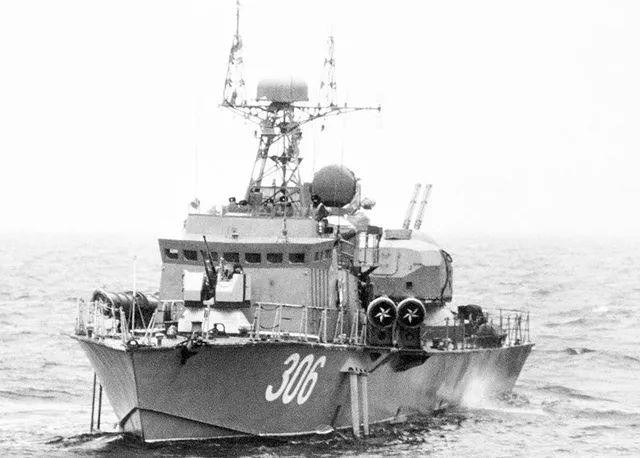 Tàu phóng lôi 206M được trang bị ba động cơ diesel M503A, cung cấp động lực cho tàu có thể đạt tốc độ tối đa 45 hải lý/giờ. Mặc dù số lượng tàu phóng lôi Dự án 206M không ít và được nhiều nước sử dụng, nhưng khả năng ứng phó với điều kiện biển khắc nghiệt của nó tương đối kém.