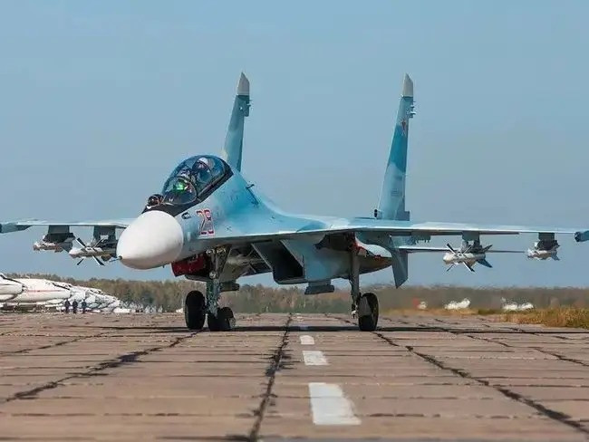 Dao Ran co phai la cai bay Nga danh cho Quan doi Ukraine?-Hinh-5