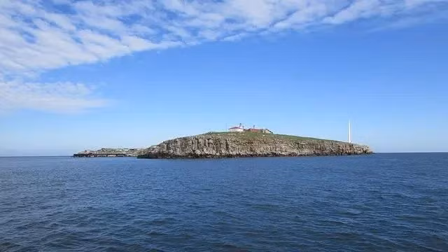 Dao Ran co phai la cai bay Nga danh cho Quan doi Ukraine?-Hinh-7