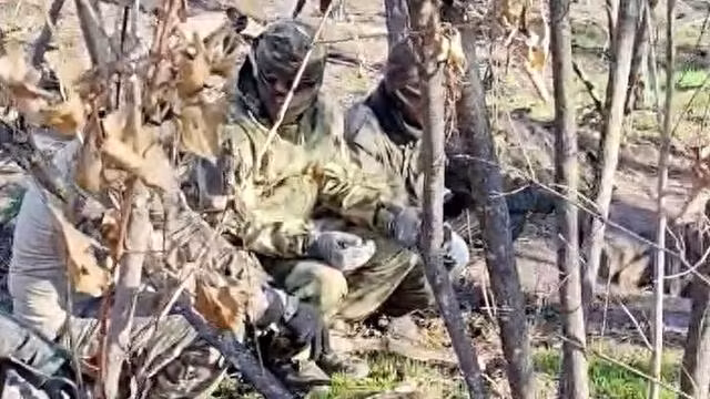 Nabil, một tân binh người Yemen đã đến Nga, nói với Financial Times rằng, nhóm 200 lính nghĩa vụ của anh ta được hứa hẹn những công việc lương cao và thậm chí có thể có quốc tịch Nga. Họ đến Nga với sự giúp đỡ của một công ty có liên kết với Houthi; tuy nhiên họ bị buộc phải gia nhập Quân đội Nga và được đưa ra tiền tuyến ở Ukraine. 