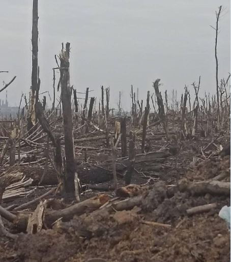 NATO đang có kế hoạch huấn luyện giúp 300.000 quân Ukraine vào mùa hè năm sau; tuy nhiên từ góc độ này đánh giá, đối với quân đội Ukraine hiện nay, NATO nên viện trợ vũ khí hạng nặng vẫn tốt hơn bất cứ điều gì khác. Trên thực tế, đối đầu với quân đội Nga, NATO không thể giỏi bằng Quân đội Ukraine hiện nay.