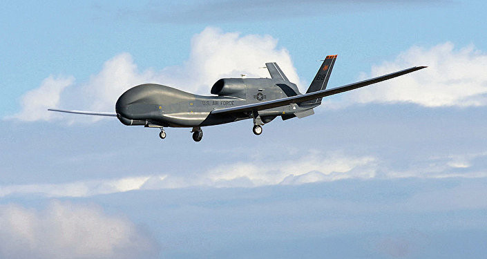 Theo các nguồn tin của Nga, máy bay không người lái RQ-4 trên, đã bay lượn trong một thời gian dài trên Vịnh Sevastopol, cũng như trên các vùng lãnh thổ trung lập trên Biển Đen, nên Nga không thể can thiệp.