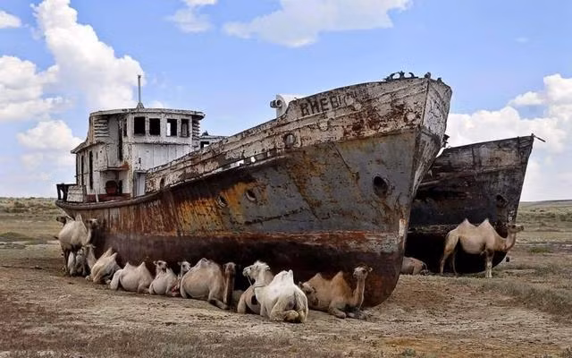 Hai quan Uzbekistan mua 40 tau chien, nhung bien khong con!