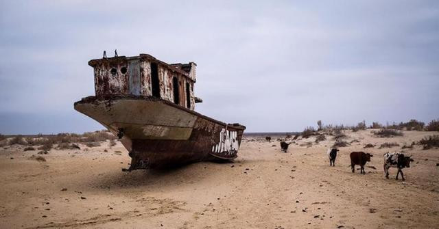 Hai quan Uzbekistan mua 40 tau chien, nhung bien khong con!-Hinh-9