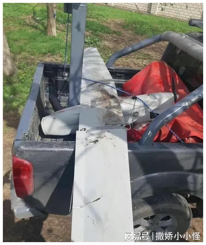 Máy bay không người lái trinh sát Orlan 10 của Nga sử dụng động cơ của hãng Hextronik của Mỹ, hệ thống điều khiển sản xuất tại Pháp, động cơ sản xuất tại Nhật Bản, hệ thống liên lạc vô tuyến sản xuất tại Mỹ và thậm chí cả bộ xử lý tín hiệu số do Texas Instruments sản xuất. 