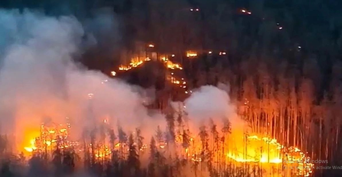 Đặc biệt quan trọng là trận chiến giành Leonidovo, tại đây, máy bay chiến đấu của Nga đã tấn công quân Ukraine bằng loại bom mới, với hỗn hợp gây cháy đặc biệt, khiến nhiều quân Ukraine thương vong. Nhìn chung, mặt trận Kursk đã ổn định trong những ngày gần đây, mặc dù lực lượng dự bị của Ukraine vẫn được chuyển đến đây. 