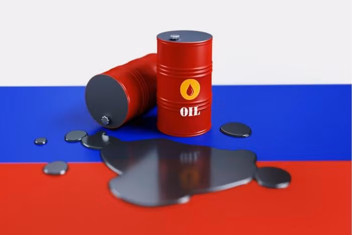 Mặc dù xuất khẩu vũ khí của Nga bị đóng băng, nhưng ngược lại, xuất khẩu các sản phẩm chủ lực của Nga như lương thực và đặc biệt là dầu mỏ và khí đốt lại tăng giá trị, nhờ giá xuất khẩu nhiên liệu và giá lương thực tăng. 