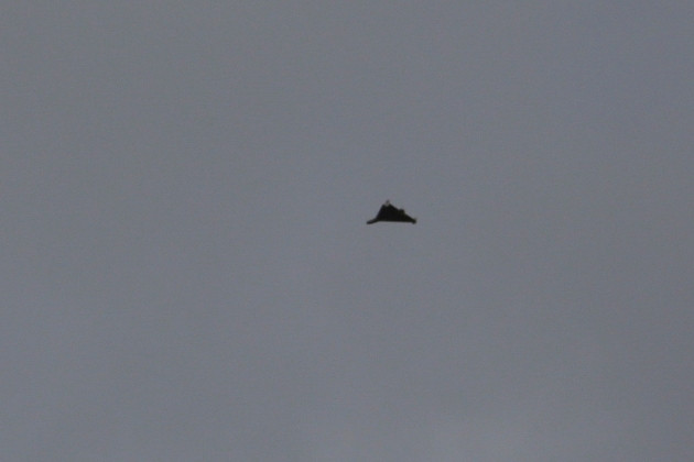 Còn theo truyền thông Ukraine, sau một thời gian tạm lắng, các cuộc tấn công bằng UAV tự sát của Nga đã được thực hiện vào thủ đô Kiev; đã có ít nhất 10 UAV tự sát của Nga đã được sử dụng cho cuộc tấn công. Người ta đã nghe thấy một vụ nổ cực lớn ở quận Shevchenko của thủ đô Kiev. 