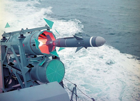 Tên lửa chống hạm Sea Skua sử dụng nhiên liệu rắn, sử dụng phương pháp dẫn đường quán tính giai đoạn đầu và radar giai đoạn cuối (cách mục tiêu từ 1 đến 2 km). Tốc độ tối đa của tên lửa là Mach 0,8 - 0,9; tầm bắn tối đa thực tế là 25 km (tuyên bố là 30km); tầm bắn hiệu quả là 15 km.