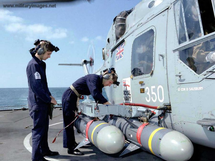 Rất có thể loại tên lửa chống hạm mà Anh viện trợ cho Hải quân Ukraine lần này là loại Sea Skua. Đây là loại tên lửa hành trình chống hạm có chiều dài 2,51 m; đường kính tên lửa 250mm; sải cảnh 0,72 m; trọng lượng 145kg; sử dụng đầu đạn xuyên giáp nặng 28 kg (trong đó thuốc nổ là 9 kg RDX).