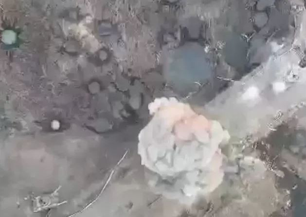 Bắt đầu từ mùa thu năm 2023, AFU đã sản xuất hàng loạt robot Ratel S và triển khai thành công nó ở nhiều khu vực tiền tuyến ở Ukraine. Trong chiến dịch tháng 3/2023, AFU đã sử dụng Ratel S được trang bị mìn MON-90 và 12 kg thuốc nổ TNT để phá hủy một cây cầu ở làng Ivanivsk, tỉnh Donetsk, trực tiếp cắt đứt đường giao thông của RFAF. Sau khi AFU sử dụng số lượng lớn UAV FPV để bù đắp sự thiếu hụt hỏa lực, các robot chiến đấu trên bộ mới sẽ gây thiệt hại lớn hơn cho RFAF.