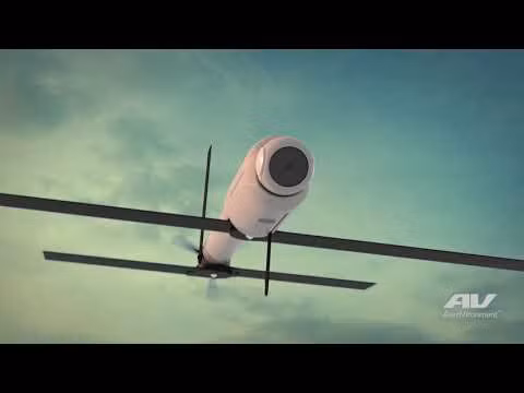 UAV Switchblade 600 được trang bị bộ cảm biến cân bằng điện quang / hồng ngoại hiệu suất cao, cho phép điều khiển chuyến bay chính xác và cung cấp cho lực lượng mặt đất khả năng trinh sát, giám sát và thu nhận mục tiêu chiến thuật.