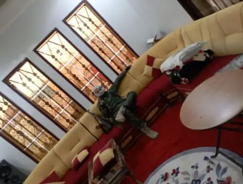 Một nguyên nhân quan trọng khác là thành phần hiện tại của phiến quân khủng bố ở Idlib phức tạp hơn. Tờ Daily News của Italy tiết lộ đằng sau phiến quân khủng bố ở Aleppo và những nơi khác ở Syria, là các cơ quan tình báo của chính quyền Kiev, Thổ Nhĩ Kỳ đã cung cấp kinh phí, vũ khí và hỗ trợ thông tin tình báo cho Quân đội Quốc gia Syria tự do (SNA).