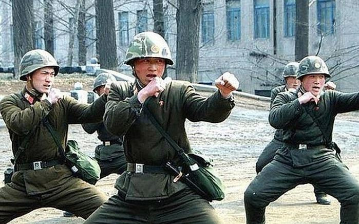 Dù Quân đội Triều Tiên có ý chí sắt đá và được huấn luyện cơ bản, vững chắc, nhưng việc hội nhập với Quân đội Nga không hề dễ dàng. Có sự khác biệt rõ ràng giữa hai nước về vũ khí trang bị, thói quen chiến đấu và thậm chí cả ngôn ngữ giao tiếp. Do vậy, liệu nó có thể thích ứng nhanh chóng và hình thành một đơn vị chiến đấu hiệu quả hay không, vẫn cần phải được thử nghiệm trên thực tế.