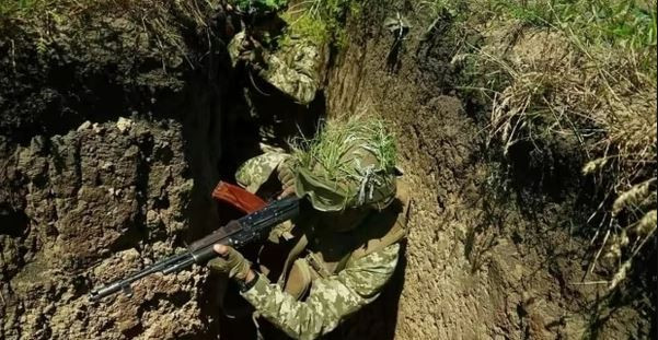 Theo tờ Lenta, sĩ quan, binh sĩ Ukraine ở tiền tuyến cho rằng, những tổn thất nêu trên là do sự sơ suất của các nhà lãnh đạo quân sự nước này. Trong khi lực lượng phòng thủ chính của Ukraine ở thị trấn New York là Tiểu đoàn 206. 