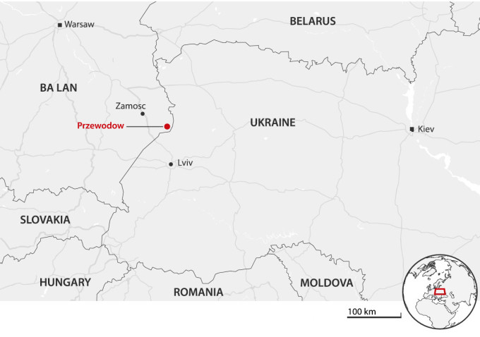 NATO trước đó xác nhận rằng, bất chấp thiệt hại, quân đội Ukraine vẫn còn hơn 290 hệ thống tên lửa phòng không S-300 sẵn sàng sử dụng. Bây giờ vụ tên lửa Ukraine vào lãnh thổ Ba Lan vào ngày 15/11 được coi là “tình huống không mong muốn”.