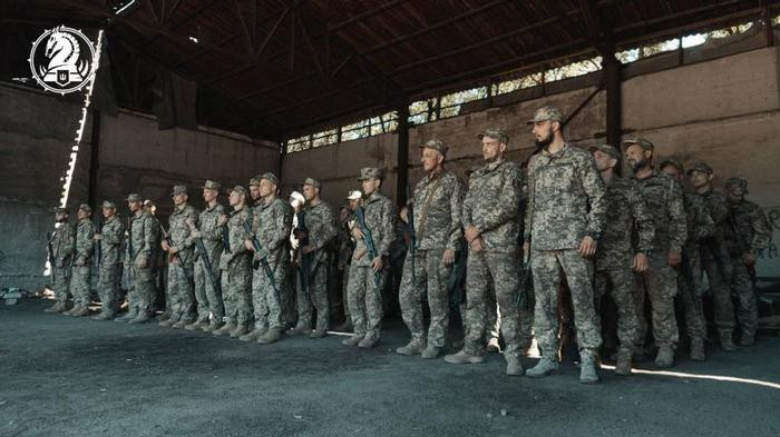 Được biết, lực lượng phòng thủ Ukraine tại Novoselivka Persha là quân của Lữ đoàn bộ binh cơ giới 47 và Lữ đoàn bộ binh cơ giới 110; theo truyền thông Ukraine, để bù đắp cho số lượng quân số giảm mạnh, Lữ đoàn bộ binh cơ giới 47 bắt đầu bổ sung quân số từ tháng 6, gồm những tù nhân Ukraine. 