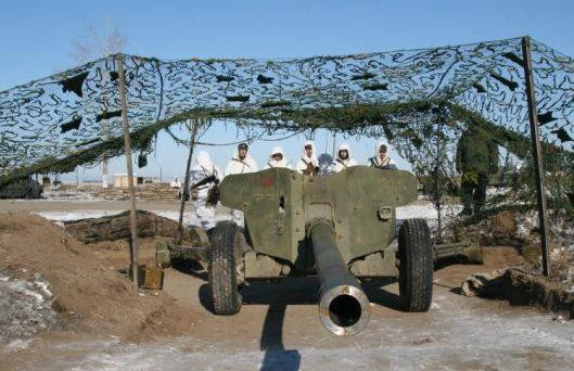 Một đoàn tàu với thiết bị quân sự và 12 khẩu pháo chống tăng 100 mm Rapier, đã được OSCE phát hiện tại nhà ga xe lửa Pokrovsk; từ đó những thiết bị quân sự này sẽ di chuyển theo hướng Donetsk.