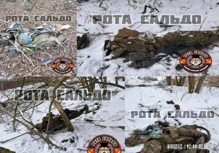 Hãng tin Nga RIA Novosti trích lời ông Lebedev, thuộc tổ chức kháng chiến ngầm Nikolayev cho biết, trước đó có thông tin cho rằng, có thể có một số lượng lính Ukraine nhất định ở khu vực Kursk, đã không trốn thoát được cùng với tàn quân của các đội hình bị đánh bại.