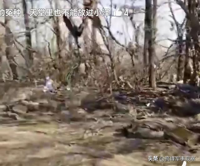 Còn một số nguồn tin của Nga khẳng định rằng có tới 2.000 lính Ukraine có thể đã bị bao vây; trong khi những nguồn tin khác phủ nhận điều này và chỉ nói đến một số lượng nhỏ binh lính Ukraine bị mắc kẹt lại.