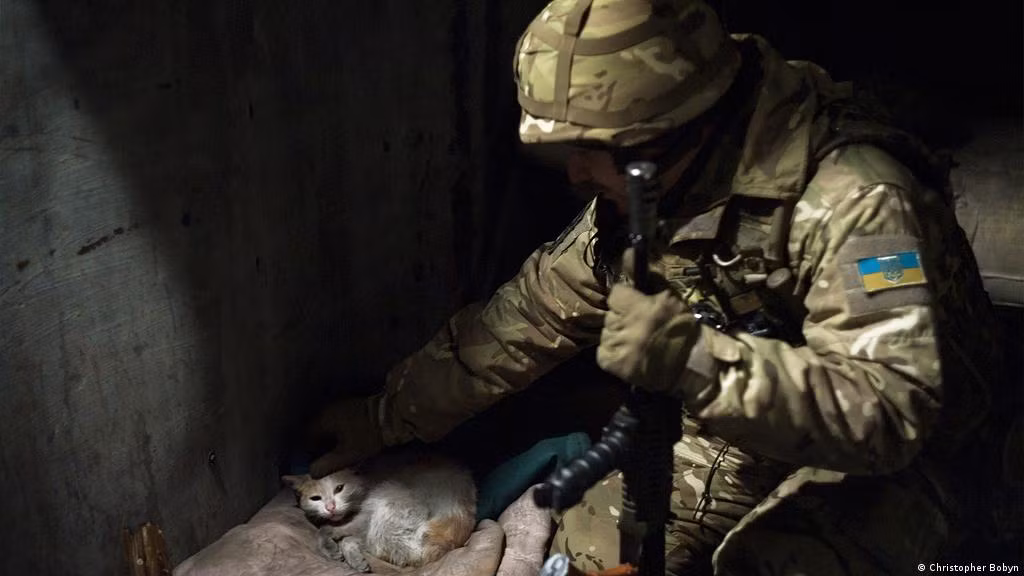 Để tránh rơi vào thế bị Quân đội Nga và lực lượng dân quân ly khai tiêu diệt, Quân đội Ukraine phải tiến hành phản công, hoặc cố gắng tập hợp lại và liên kết với các tiểu đoàn địa phương trong khu vực Lysychansk; nhưng cả hai điều này đều rất khó khăn, vì cần có thời gian và tiếp viện.