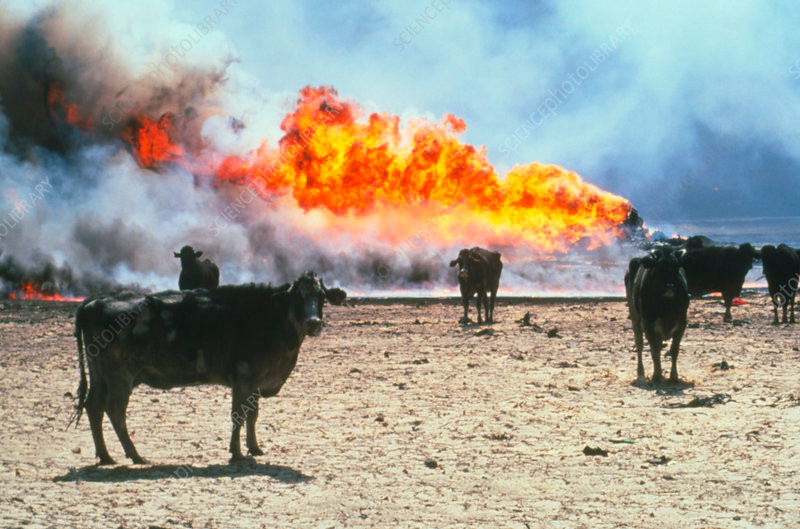 Ngoài việc phá hủy nền kinh tế Kuwait, nó còn gây ra mối lo sợ thiếu hụt nguồn cung dầu, gây xáo trộn thị trường toàn thế giới, đẩy giá dầu lên mức cao nhất từ sau cuộc khủng hoảng dầu mỏ năm 1973.