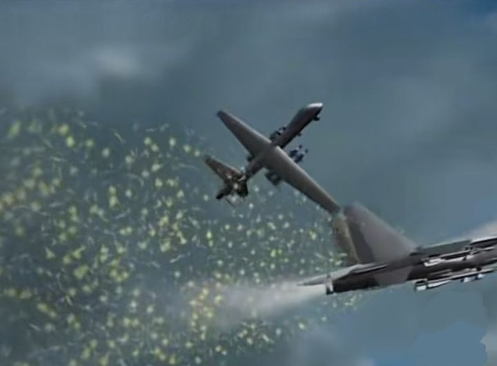 Theo một số thông tin, chiếc Su-27 của Nga đã quay trở lại sân bay với những “xước sát”. Trong mọi trường hợp, đây là một hoạt động tiêu diệt đối phương kiểu “cận chiến”, nhưng không sử dụng vũ khí; được thực hiện bởi kỹ năng “điêu luyện” của phi công Nga. Vì vậy sự cố này có thể được gọi là "Dao mổ Biển Đen". 