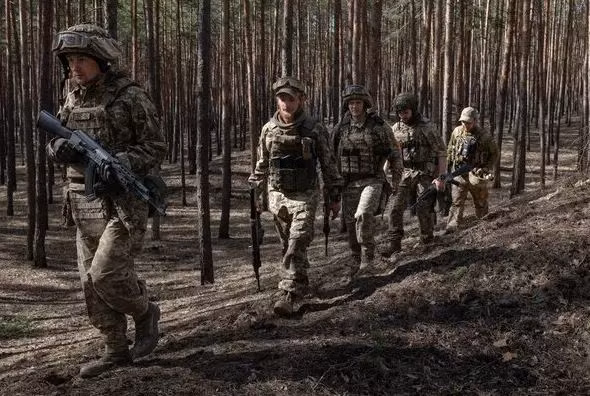 Vì vậy, chiến thuật mà Quân đội Ukraine ở Krasnogorovka áp dụng là "chiến thuật rút lui đều đặn"; mặc dù Bộ Tổng tham mưu Quân đội Ukraine đã tăng cường một số số quân, được rút từ Lữ đoàn bộ binh cơ giới số 59 ở phía bắc, một số quân từ Lữ đoàn xung kích đường không số 46 và 80 ở phía nam cho Krasnogorovka, nhưng tình hình đã quá muộn.