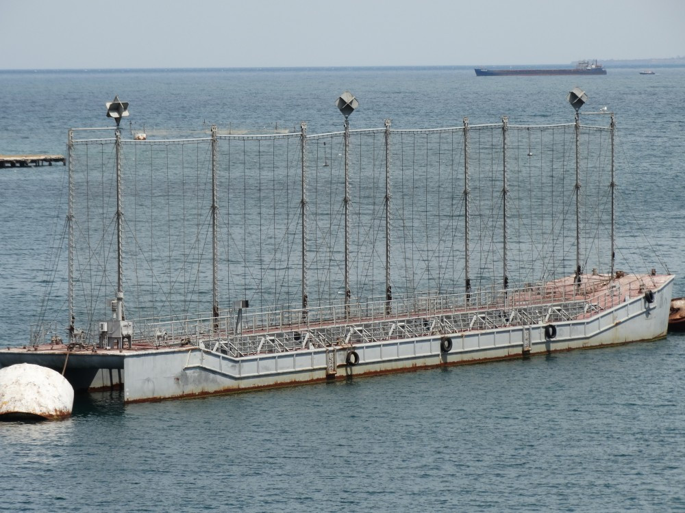 Ông Linganna cũng rằng: “Nga đã triển khai các thiết bị làm lệch hướng radar hình chóp. Mặc dù binh sĩ Ukraine có thể phát hiện mục tiêu bằng mắt thường, nhưng tên lửa sử dụng radar và hình ảnh vệ tinh (cũng sử dụng radar chuyên dụng), theo thiết kế của nó, không thể xác định được mục tiêu.