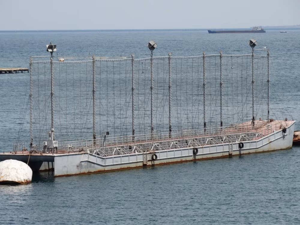 Ông Linganna cũng rằng: “Nga đã triển khai các thiết bị làm lệch hướng radar hình chóp. Mặc dù binh sĩ Ukraine có thể phát hiện mục tiêu bằng mắt thường, nhưng tên lửa sử dụng radar và hình ảnh vệ tinh (cũng sử dụng radar chuyên dụng), theo thiết kế của nó, không thể xác định được mục tiêu.