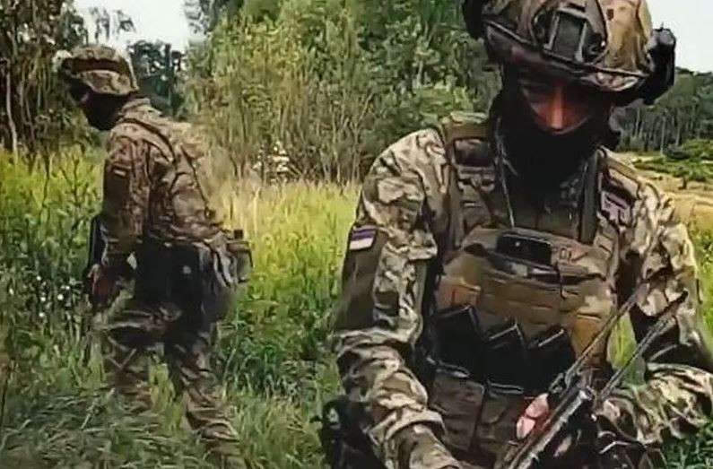 Các lữ đoàn tăng viện của Ukraine được trang bị vũ khí tiên tiến của phương Tây và là quân át chủ bài của Quân đội Ukraine. Được biết, NATO đã huấn luyện cho Ukraine tổng cộng 10 lữ đoàn như vậy, nhưng hiện chỉ triển khai 3 lữ đoàn này trên chiến trường Kursk. 