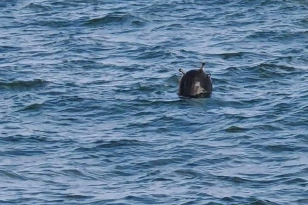 Mặc dù là tàu trinh sát, không được trang bị nhiều vũ khí, nhưng do thiếu tàu chiến, nên tàu Pereyaslav vẫn được Hải quân Ukraine sử dụng, để tiến hành các nhiệm vụ đặc biệt và thậm chí là rải thủy lôi dọc theo bờ biển Ukraine.