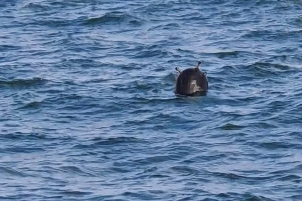 Mặc dù là tàu trinh sát, không được trang bị nhiều vũ khí, nhưng do thiếu tàu chiến, nên tàu Pereyaslav vẫn được Hải quân Ukraine sử dụng, để tiến hành các nhiệm vụ đặc biệt và thậm chí là rải thủy lôi dọc theo bờ biển Ukraine.