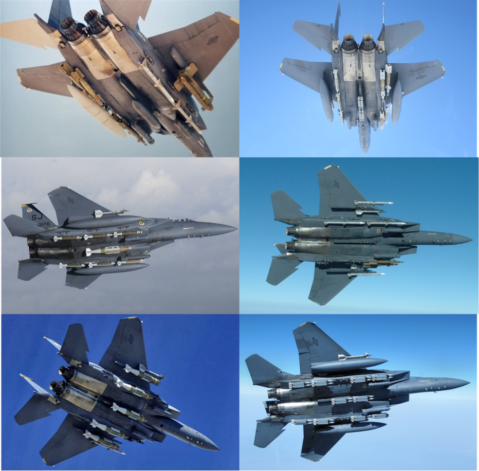Gia đình F-15 Eagle là dòng máy bay chiến đấu có ba phiên bản chính: F-15C Eagle, F-15E Strike Eagle và F-15S/MTD. Mỗi loại với các biến thể có chức năng riêng tương ứng khác nhau.