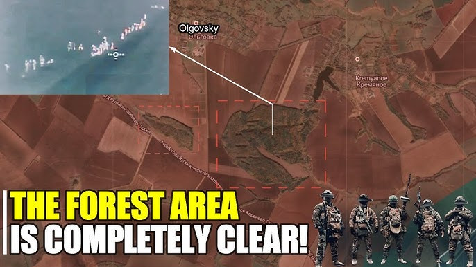 Hiện tại, quân Ukraine bị vây còn sót lại ở khu rừng Olgovsky không liên lạc được; mặc dù chỉ huy Quân đội Ukraine trước đó nói rằng, họ sẽ biến rừng Olgovsky thành một “Afghanistan thứ hai cho người Nga”. Nhưng câu chuyện đó hoàn toàn không xảy ra. 