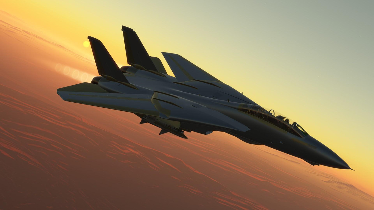 Vào thời điểm đó, mối quan hệ giữa Trung Quốc và Mỹ đang trong thời kỳ “trăng mật”, và Mỹ đã cố gắng xuất khẩu F-14 cho Trung Quốc, vừa để tạo lòng tin với Bắc Kinh, vừa tìm thị trường cho loại chiến đấu cơ này; khi trước đó, chỉ có Iran là khách hàng duy nhất. 