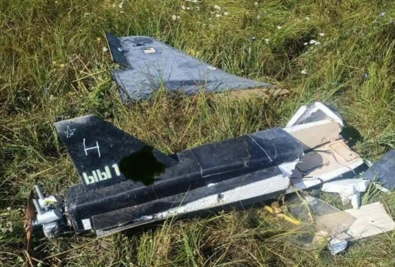 Video trên Falcon của Stalin khẳng định rằng, UAV Gerbera có khả năng thực hiện các hoạt động tấn công bầy đàn trong nhiều vai trò khác nhau, bao gồm trinh sát tình báo điện tử (ELINT), tấn công tự sát và làm mồi nhử.