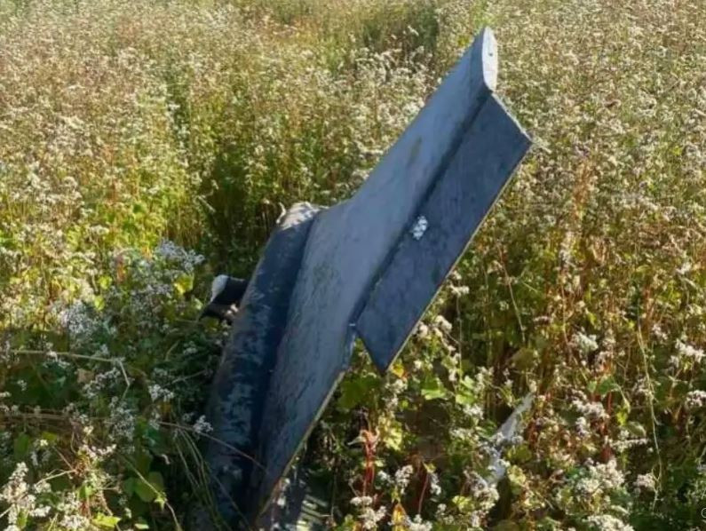 Ít nhất, khả năng hoạt động theo bầy đàn của UAV Gerbera sẽ cho phép nó giữ vị trí với UAV tự sát Geran-2, giống như một phi công phụ trung thành. Khả năng như vậy sẽ loại bỏ nhu cầu mang theo một hệ thống dẫn đường đắt tiền như hệ thống dẫn đường quán tính kết hợp với dẫn đường vệ tinh. Ngoài ra, chi phí sản xuất sẽ giảm đáng kể, bao gồm cả việc sử dụng vật liệu rẻ hơn để chế tạo khung UAV. 