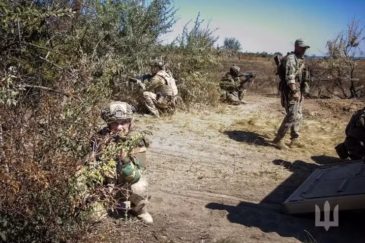 Những sĩ quan không thể có được bằng cách thông qua tuyển dụng bắt buộc. Quân đội Ukraine có thể chỉ mất vài tuần để đào tạo một tân binh và đưa anh ta ra tiền tuyến, nhưng phải mất vài năm để đào tạo một sĩ quan và sau khi ra trường, phải mất hàng năm, để người sĩ quan tích lũy kinh nghiệm chỉ huy thực tế. 