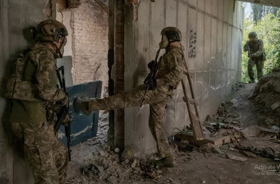 Liên quan đến danh tính của “Bầy sói của Sa hoàng”, mặc dù một số hãng truyền thông nước ngoài chỉ ra rằng, họ là đơn vị lính đánh thuê do Bộ Quốc phòng Nga ký hợp đồng, nhưng phía Nga lại khẳng định họ là lực lượng vũ trang tư nhân và không thuộc thẩm quyền quản lý của Bộ Quốc phòng Nga.