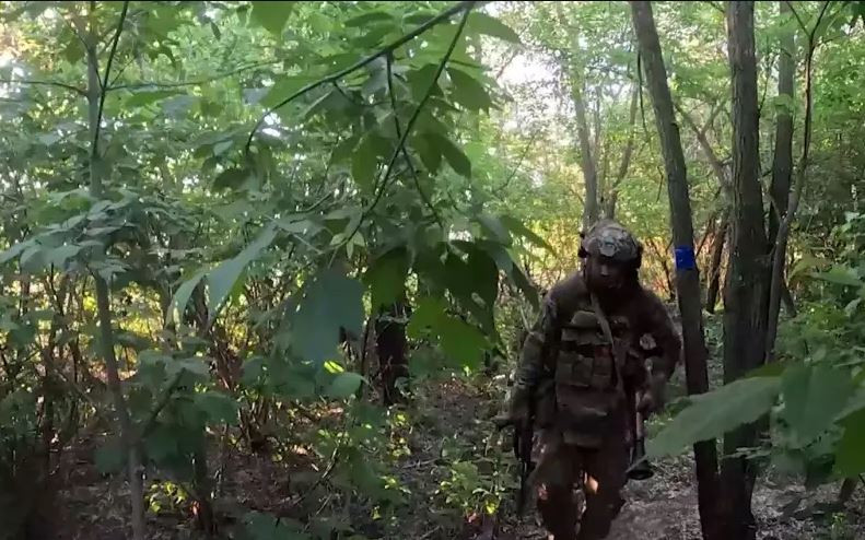 Theo phản ánh của một số sĩ quan Quân đội Ukraine, đang chiến đấu ở mặt trận Pokrovsk, ở các đơn vị của họ, có nhiều lính nghĩa vụ ít kinh nghiệm chiến đấu, không có tinh thần chiến đấu. Họ sợ hãi trước các đợt ném bom và bỏ chạy ngay khi có tiếng pháo nổ.