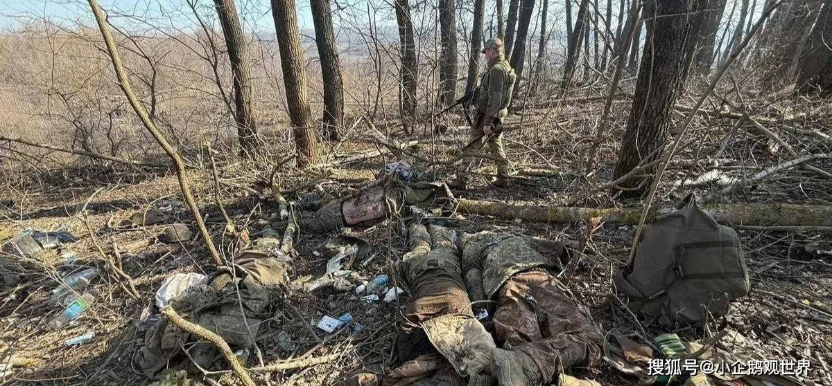 Hiện nay Lữ đoàn tấn công đổ bộ đường không tinh nhuệ số 95 của AFU, mỗi tiểu đoàn chỉ còn lại vài chục binh sĩ. Hàng ngàn người thân của những người lính đổ bộ đường không AFU, bị báo là "mất tích", đã thường xuyên diễu hành trên đường phố Zhitomir và Kiev, yêu cầu chỉ huy của họ cho biết nơi ở người thân của họ.