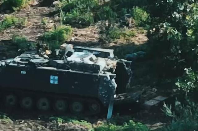 Nhưng cho đến nay, ngoại trừ một chiếc xe bọc thép Ukraine bị mất do chạy lạc vào chiến hào chống tăng, thì các mũi đột kích của Ukraine nói chung vẫn chưa đụng đến hệ thống công sự phức tạp của quân đội Nga.