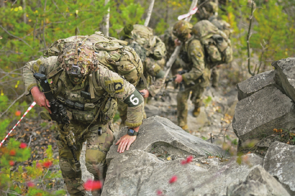 Mặc dù Sư đoàn ĐBĐK 101 chưa tiến vào Ukraine thực hiện các hoạt động chiến đấu, nhưng lực lượng tác chiến của Lữ đoàn 2 của Sư đoàn, được triển khai sát biên giới Rumania – Ukraine, đã thể hiện "tinh thần sẵn sàng chiến đấu cao".