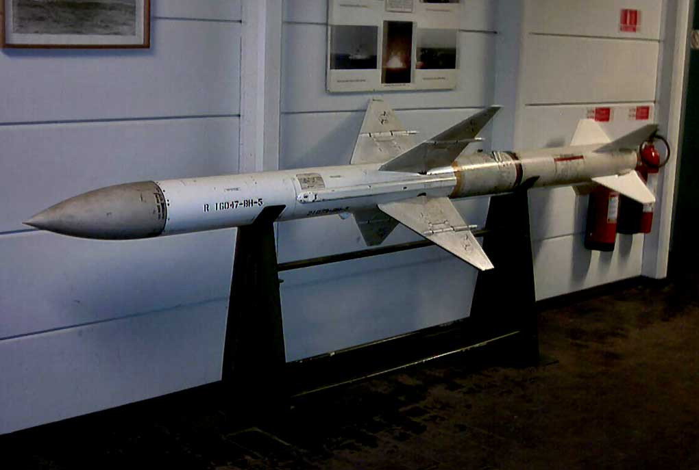 Về đặc tính kỹ chiến thuật, tên lửa RIM-7 Sea Sparrow có khối lượng khoảng 510 kg, chiều dài khoảng 3,65 mét, thân tên lửa nó có dạng hình trụ với đường kính khoảng 203 mm. Tên lửa được đẩy bằng động cơ nhiên liệu rắn, cung cấp lực đẩy cho suốt hành trình bay của tên lửa. 